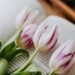 delicate fragrant flowers placed on page of book in room