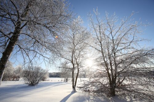 frosty winter landscape