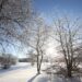 frosty winter landscape